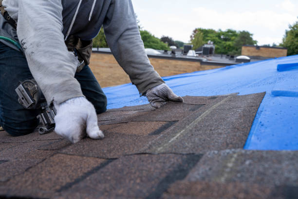 Best Gutter Installation and Repair  in Prieton, NC